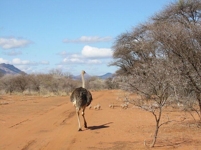 In South Africa
