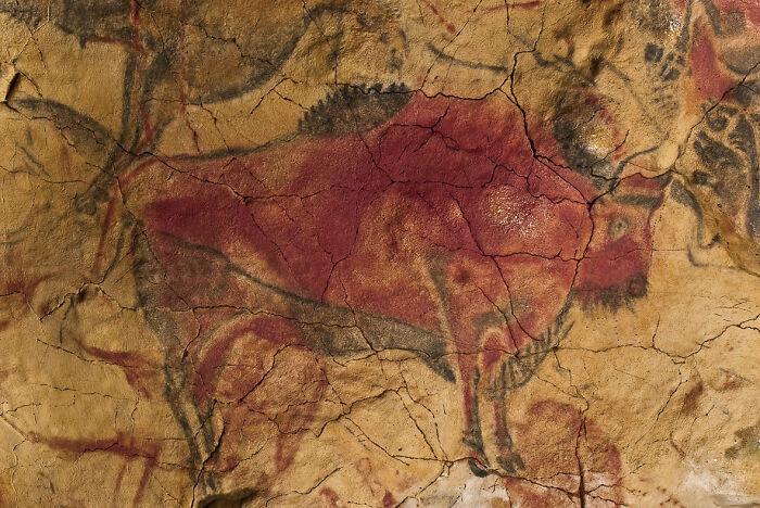 Cave Of Altamira (14,000-18,500 Years Ago)