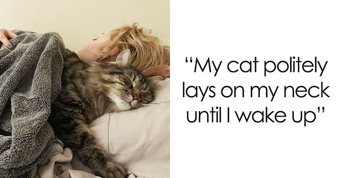 “I Have Most Of My Day Done By 8AM”: 30 People Explain Why They Wake Up At 5AM