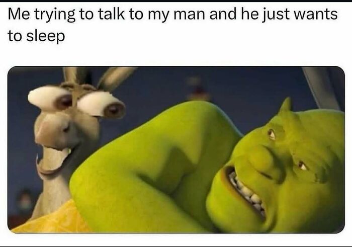 Animated meme showing Shrek lying down looking tired while Donkey tries to talk, illustrating relatable memes about avoiding responsibilities.