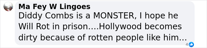 Comment expressing strong negative opinion about Diddy Combs, related to the Diddy trial jury stunned by graphic party photos.