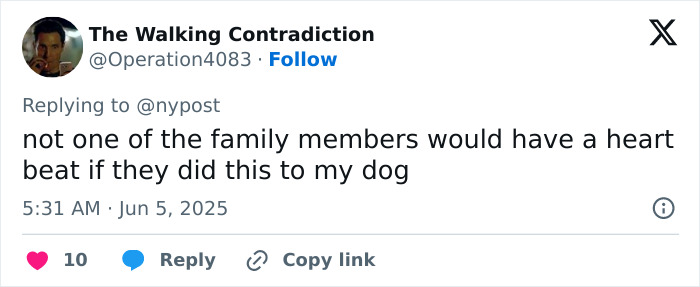 Sailor Returns Home From Service To Discover Family Gave His Dog Away—Then He Tracks Down The Pup