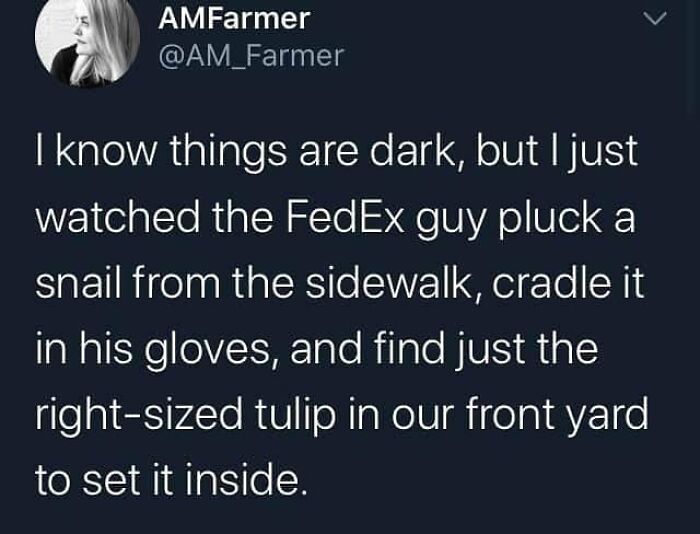 Tweet about a FedEx worker showing kindness by rescuing a snail and placing it carefully inside a tulip, wholesome and feel-good.