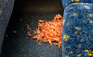 54 Infuriating Public Transport Passengers Who Desperately Need A Reality Check (New Pics)