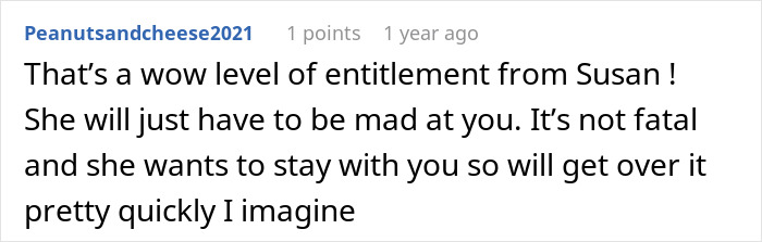 Comment expressing frustration over entitlement and a situation involving babysitting a niece.
