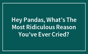Hey Pandas, What’s The Most Ridiculous Reason You’ve Ever Cried?